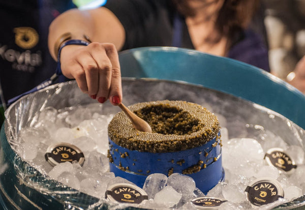 Kaviari : La Dégustation du Caviar