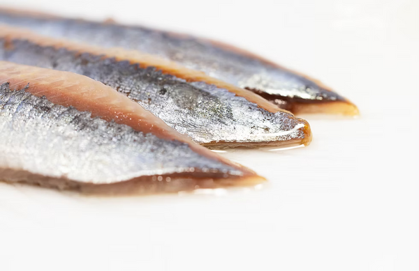Sardines Dehesa : slow-maturation et fumage japonais, une révolution gustative