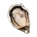 Huître Joséphine 