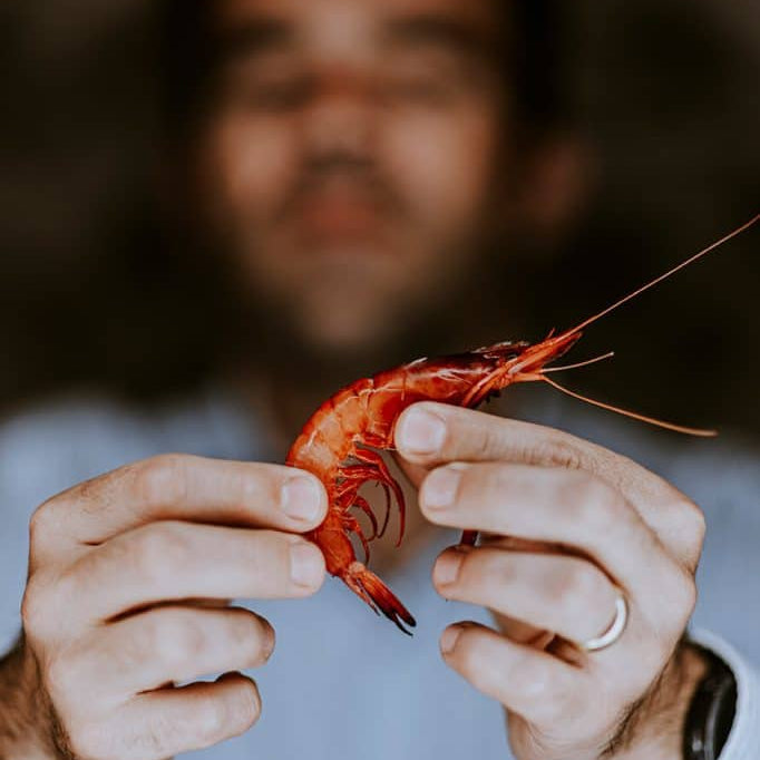 Crevettes Carabinero entières
