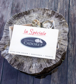 Huîtres Spéciales de Bretagne