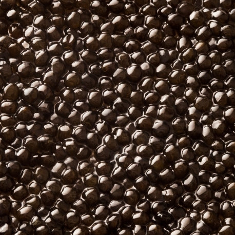 Caviar Baeri Royal