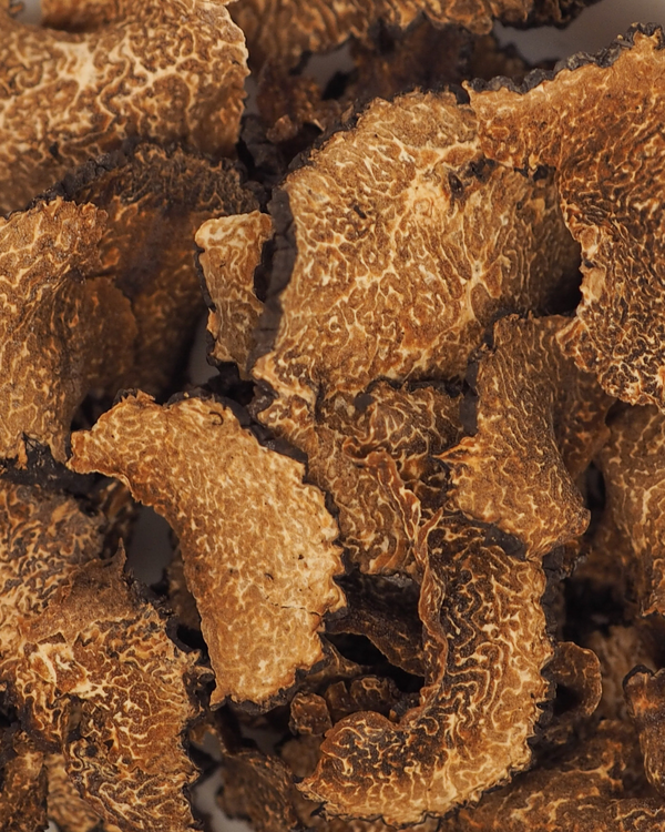 Truffe de Bourgogne Uncinatum