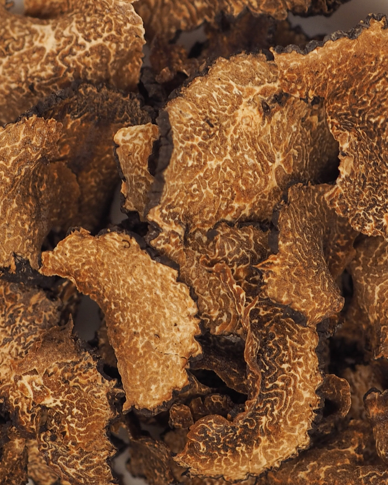 Truffe de Bourgogne Uncinatum