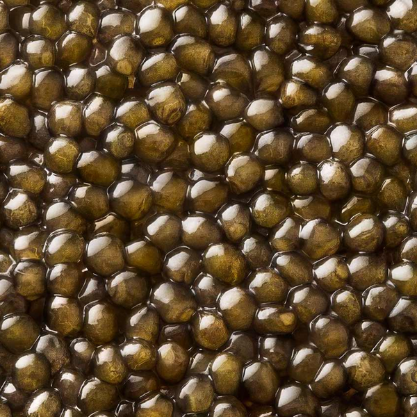 06 Caviar Oscietra Gold