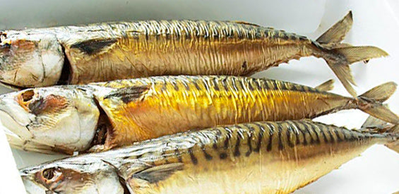 Maquereau Fumé