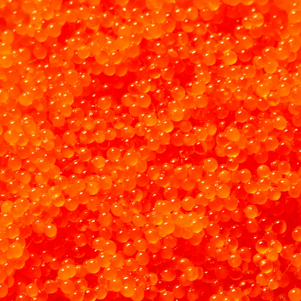 Tobiko Orange - Flying Fish Roe