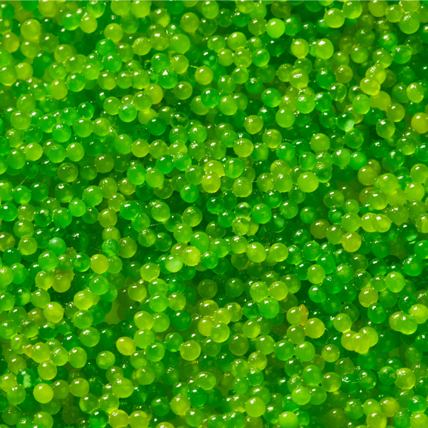 Préparation à base d'oeufs de poissons volants - Tobiko wasabi