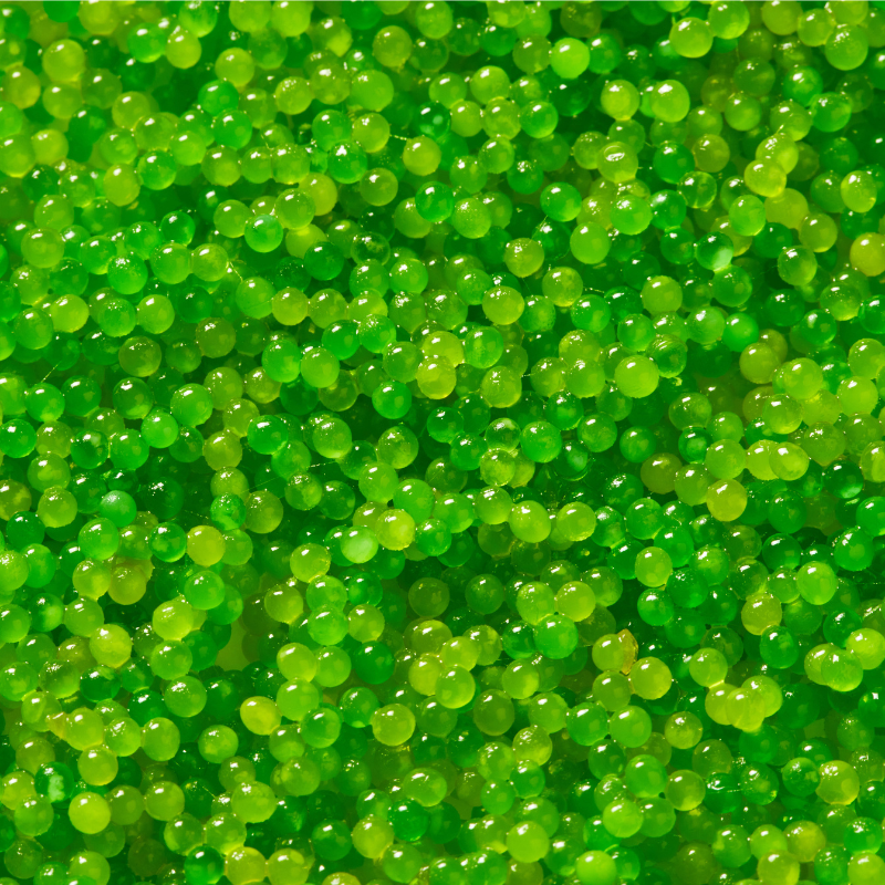 Tobiko Wasabi - Flying Fish Roe
