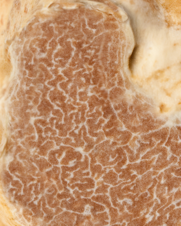 Truffe Blanche d'Alba