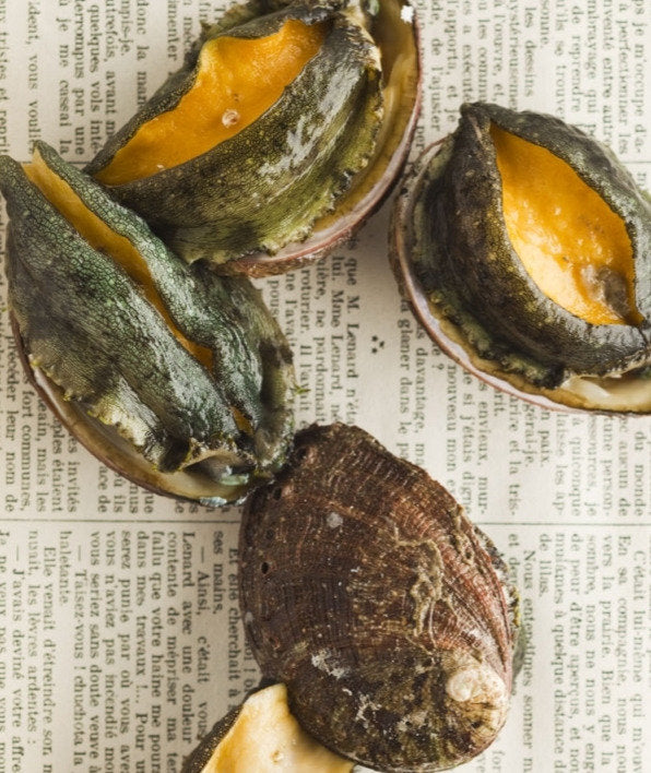 Ormeaux / Abalones
