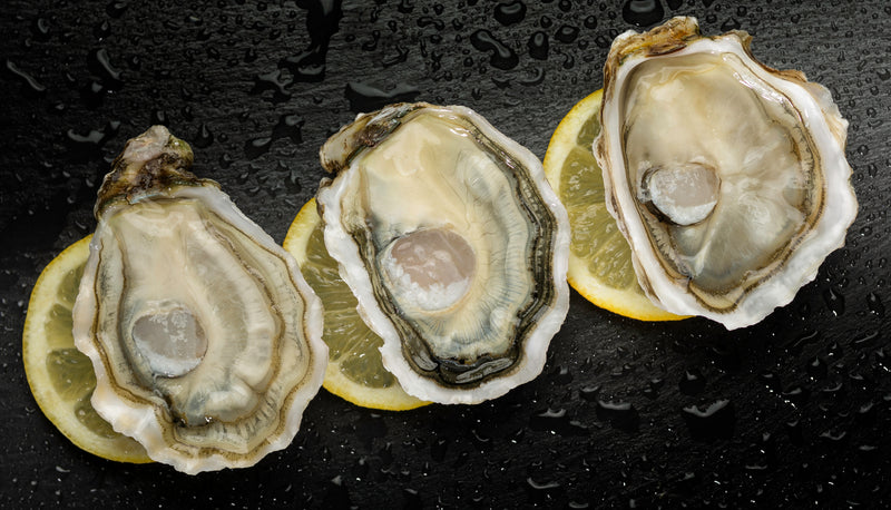 Tarbouriech Special Oyster