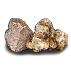 Truffe Blanche d'Alba