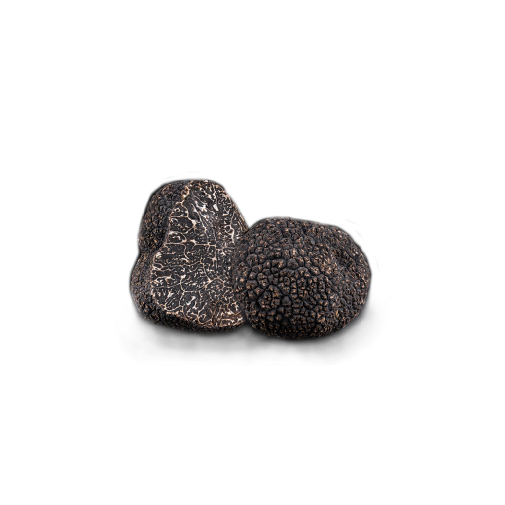 Truffe Noire Fraîche d'Hiver du Périgord (Tuber Melanosporum) de 87,5g
