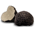 Tuber aestivum summer truffle