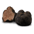 Burgundy Truffle - Tuber Uncinatum