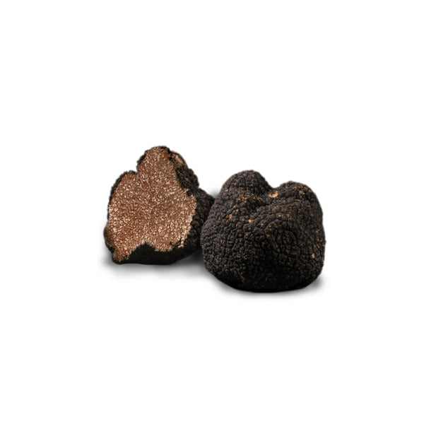 La truffe noire d'Australie, le diamant noir en plein été - Magazine PLANTIN